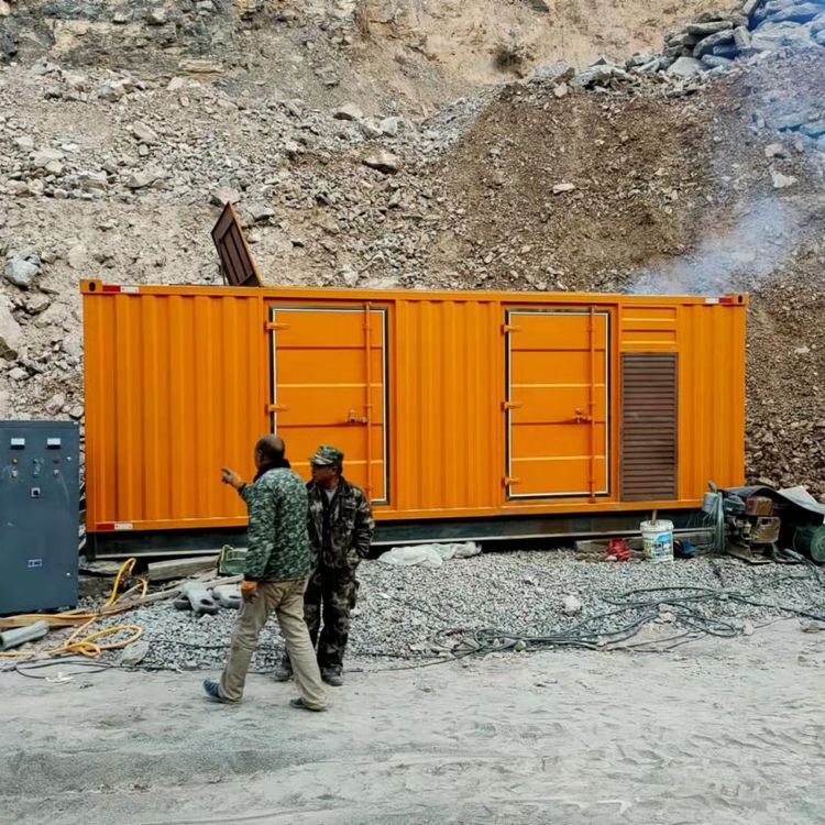 枣阳如何选择适合自己的 800KW 柴油发电机组？